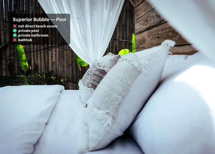 Campo de lujo Bubble Nyang Nyang - Adults Only